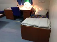 Holownik na sprzedaż