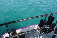 General Cargo/Multi-purpose na sprzedaż