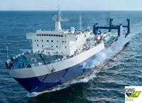 Ro-Ro ship na sprzedaż