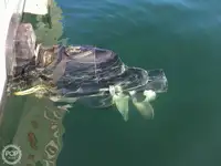 Trawler na sprzedaż