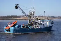 Purse seiner na sprzedaż