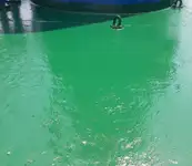Statek transportowy ładunków sypkich na sprzedaż