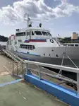 Statek transportowy ładunków sypkich na sprzedaż