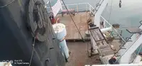 Statek transportowy ładunków sypkich na sprzedaż