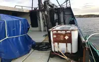 Trawler na sprzedaż