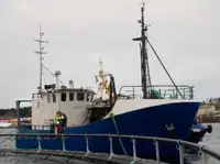 Trawler na sprzedaż