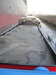 Barka na sprzedaż