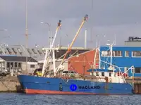 Trawler denny na sprzedaż