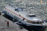 Hydroplan na sprzedaż