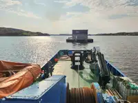 Holownik na sprzedaż
