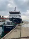 Żalotnik na sprzedaż