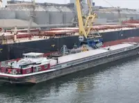 Statek transportowy ładunków sypkich na sprzedaż