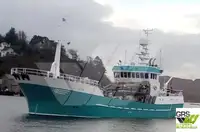Trawler na sprzedaż