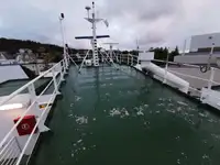 Statek transportowy ładunków sypkich na sprzedaż