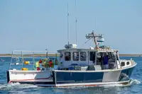 Purse seiner na sprzedaż