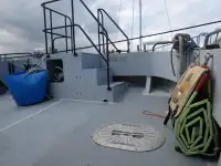 Katamaran na sprzedaż