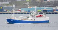 Purse seiner na sprzedaż