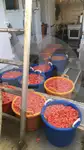 Trawler denny na sprzedaż