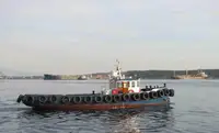 Statki robocze na sprzedaż