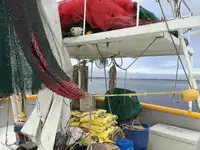Trawler na sprzedaż