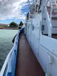 Holownik na sprzedaż