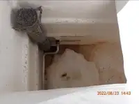 Żalotnik na sprzedaż