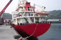 Statek transportowy ładunków sypkich na sprzedaż
