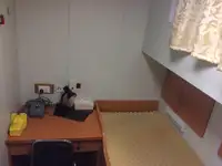 Holownik na sprzedaż