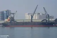 Masowiec na sprzedaż