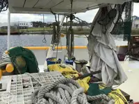 Trawler na sprzedaż