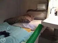 Kuter na sprzedaż