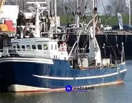Trawler denny na sprzedaż