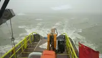 Holownik na sprzedaż