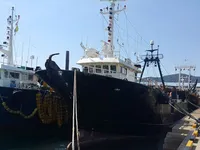 Trawler na sprzedaż