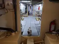 General Cargo/Multi-purpose na sprzedaż