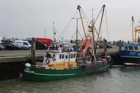 Trawler na sprzedaż