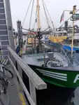 Trawler na sprzedaż