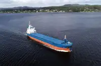 Statek transportowy ładunków sypkich na sprzedaż