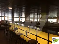 Statek Ro-Ro na sprzedaż