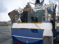 Trawler denny na sprzedaż