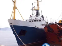 Trawler na sprzedaż