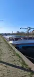 Statek transportowy ładunków sypkich na sprzedaż