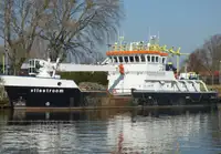 Masowiec na sprzedaż
