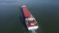 Statek transportowy ładunków sypkich na sprzedaż