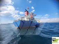 Statek transportowy ładunków sypkich na sprzedaż