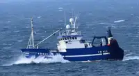 Trawler na sprzedaż