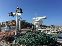 Trawler na sprzedaż