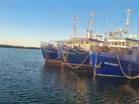 Trawler na sprzedaż