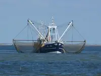 Trawler na sprzedaż