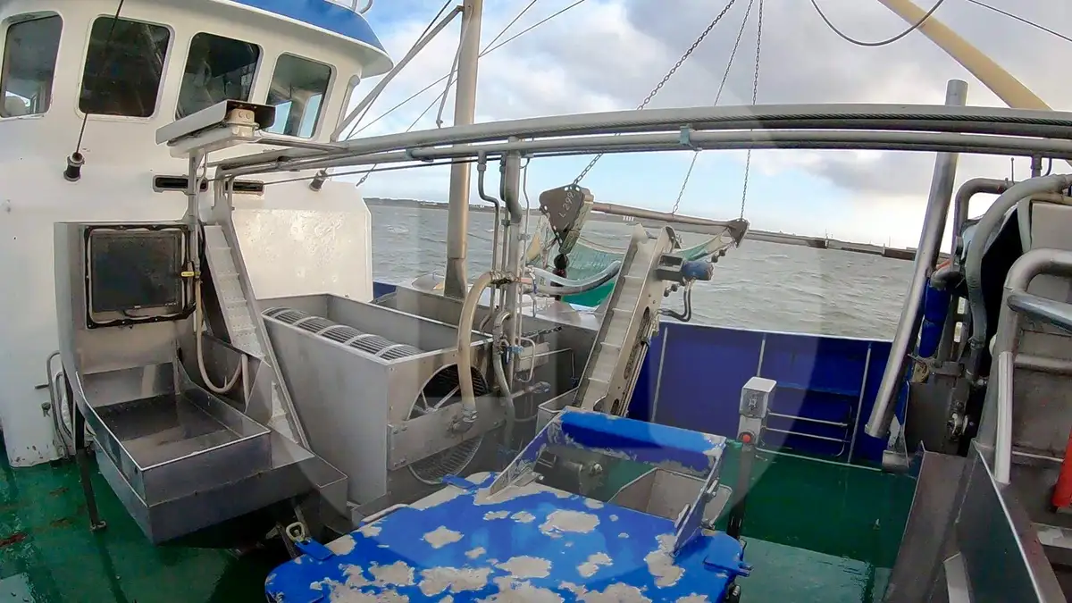 Trawler denny na sprzedaż